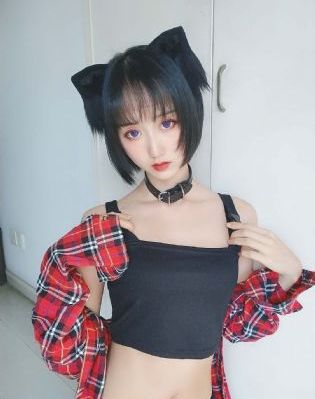 国产猫粮哪些较好_高清高清完整版